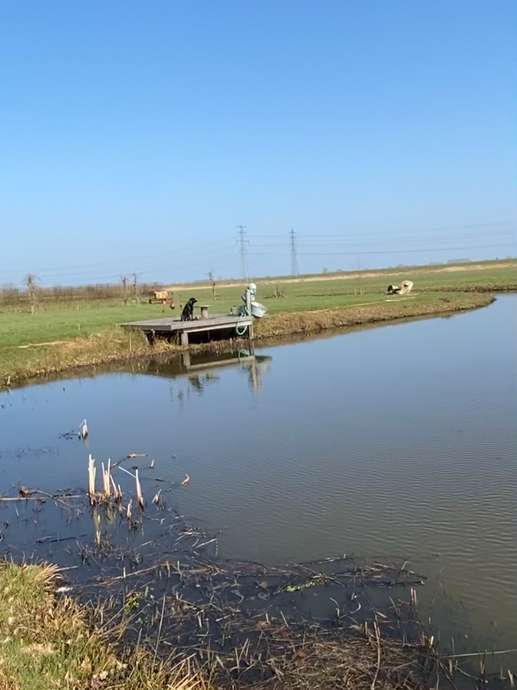 Een foto toegevoegd aan een locatie