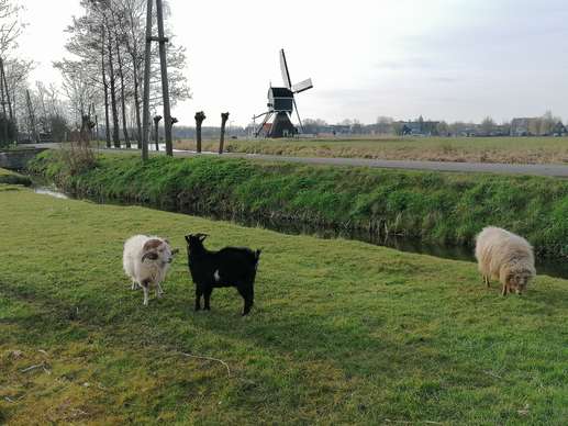 Een foto toegevoegd aan een locatie
