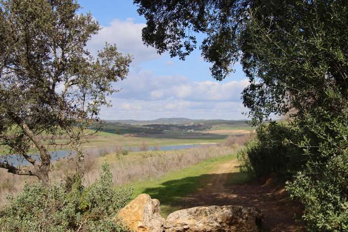 Camping Puebla