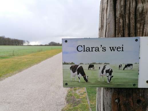 Een foto toegevoegd aan een locatie