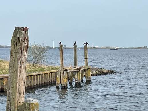 Een foto toegevoegd aan een locatie