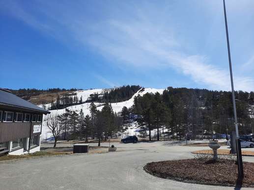 Added a photo to a location