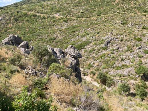 Added a photo to a location