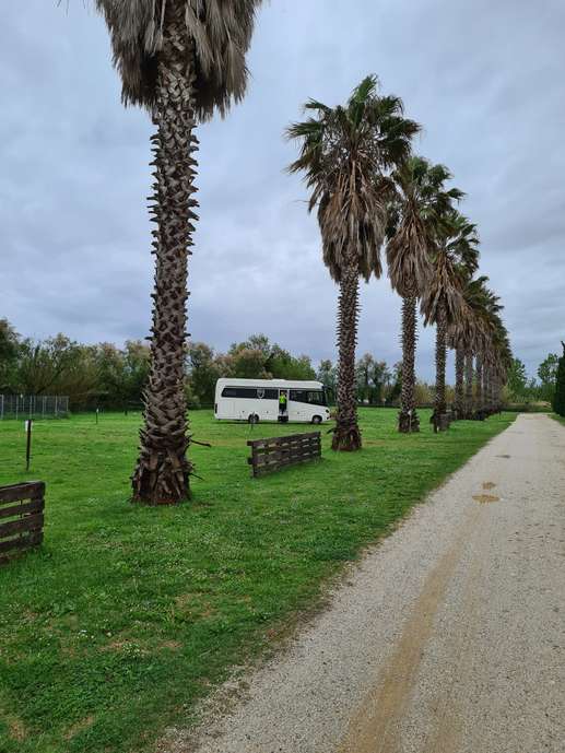 Added a photo to a location