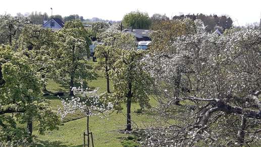 Een foto toegevoegd aan een locatie