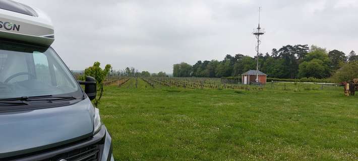Dégustation de vin  Nitray