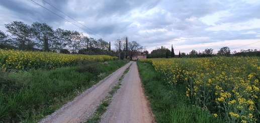 Een foto toegevoegd aan een locatie