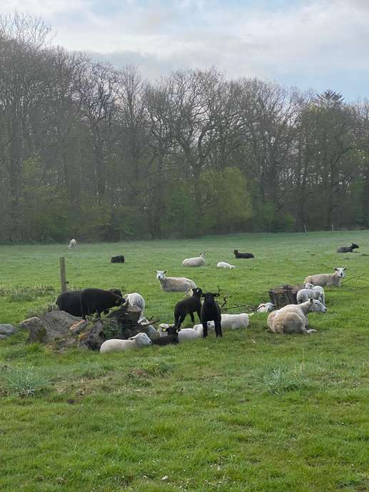 Ajout d'une photo à un emplacement