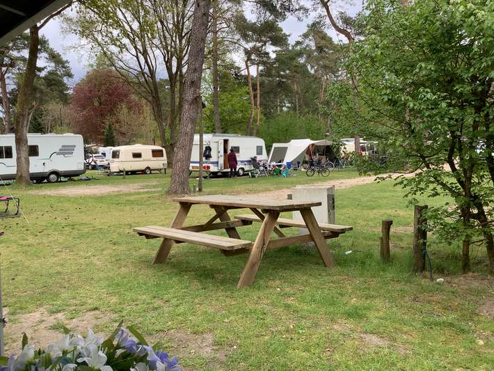 Camping  In de Rimboe