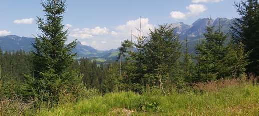 Added a photo to a location