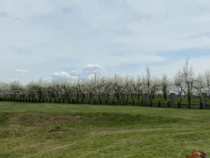 AgroPark Dabrowka Nowa