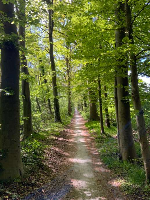 Einem Ort wurde ein Foto hinzugefügt