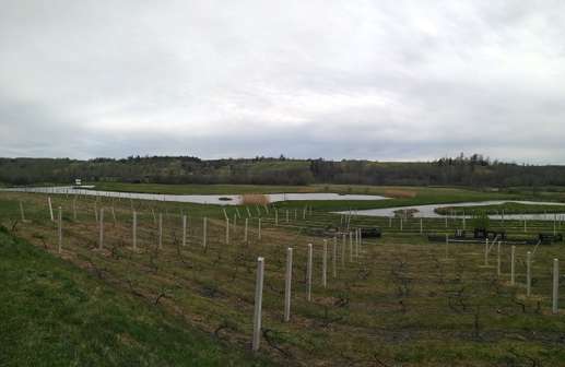 Added a photo to a location