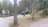 Rothiemurchus Camp and Caravanpark