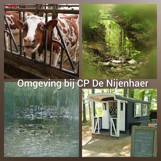 Een foto toegevoegd aan een locatie