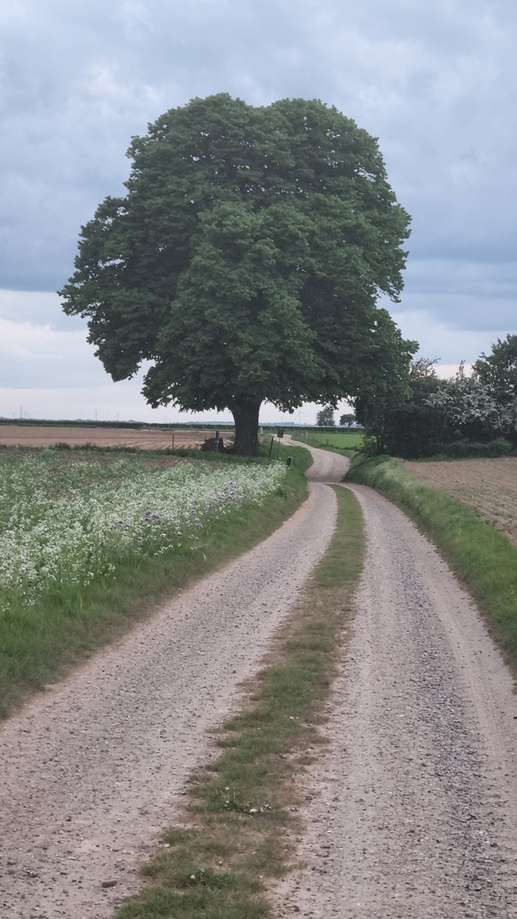 Einem Ort wurde ein Foto hinzugefügt