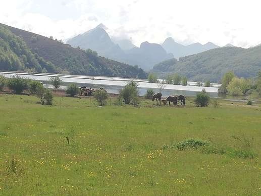 Added a photo to a location