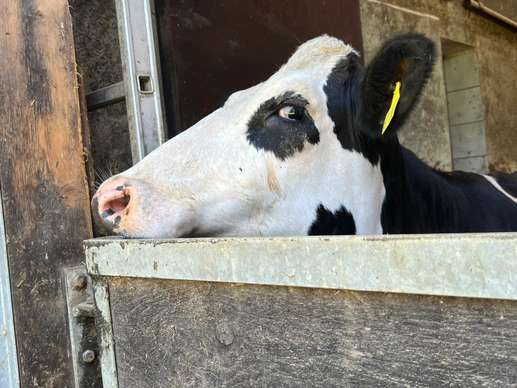 Einem Ort wurde ein Foto hinzugefügt