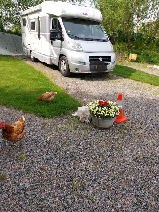 Een foto toegevoegd aan een locatie