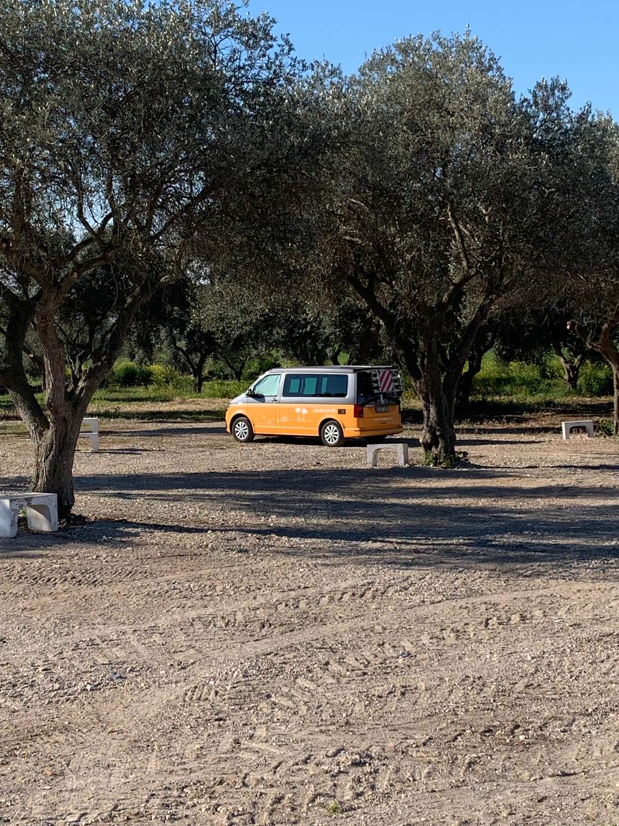 Agricola Natile