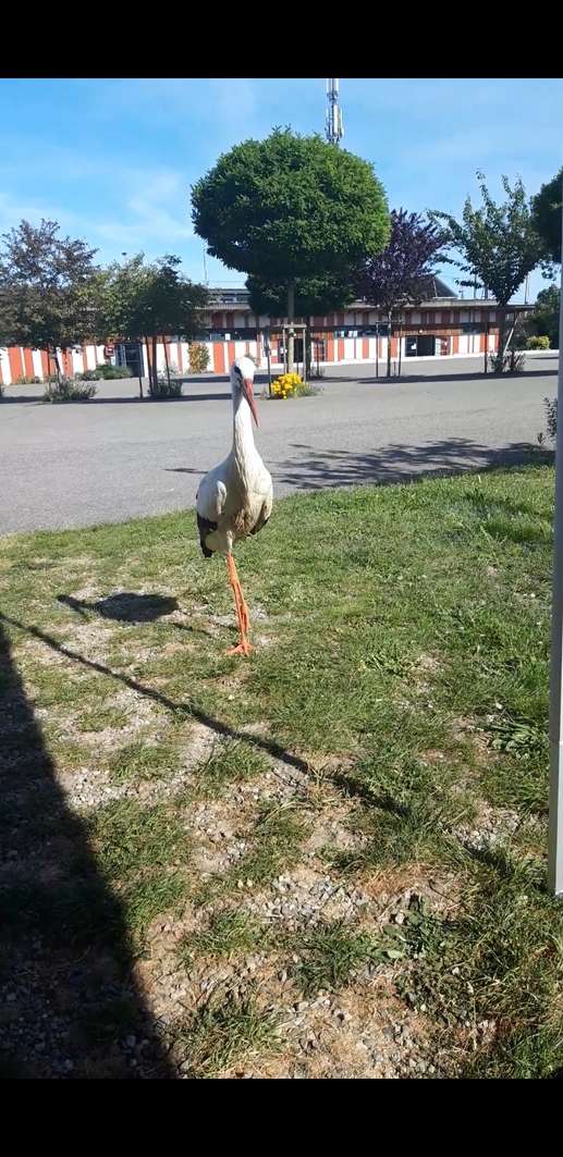 Añadió una foto a una ubicación