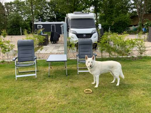 Een foto toegevoegd aan een locatie