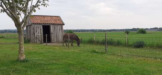 Added a photo to a location
