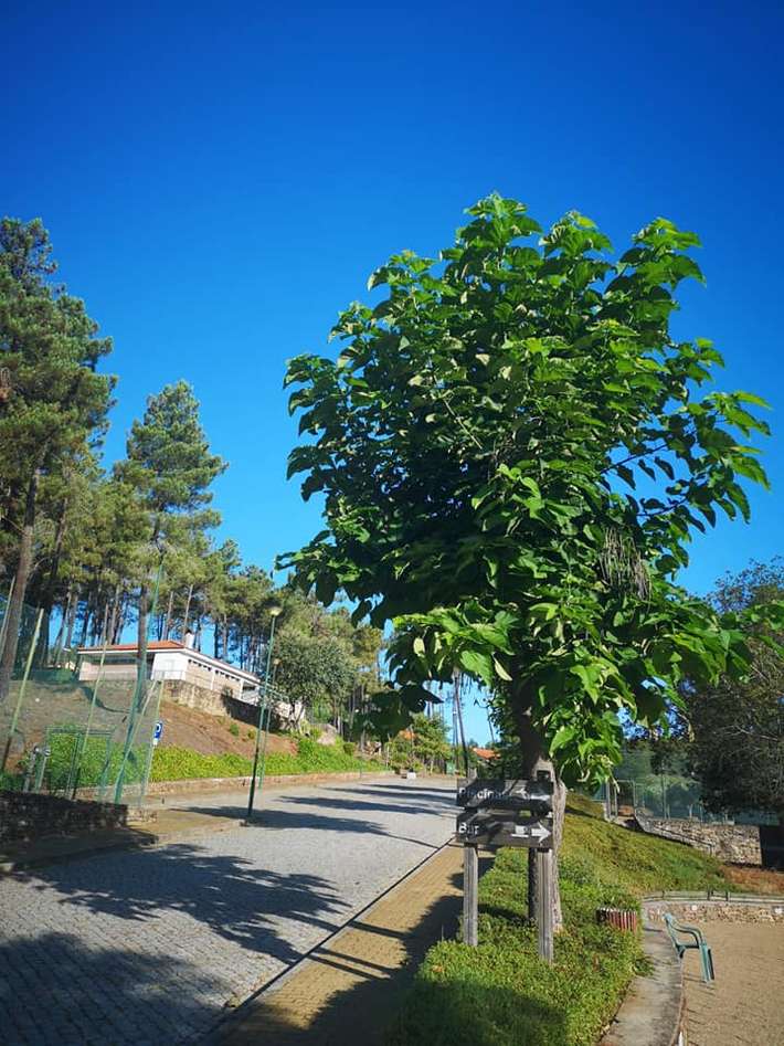 Parque de Campismo do Vilar