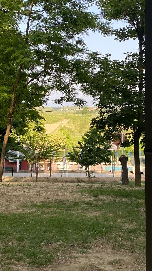 Added a photo to a location