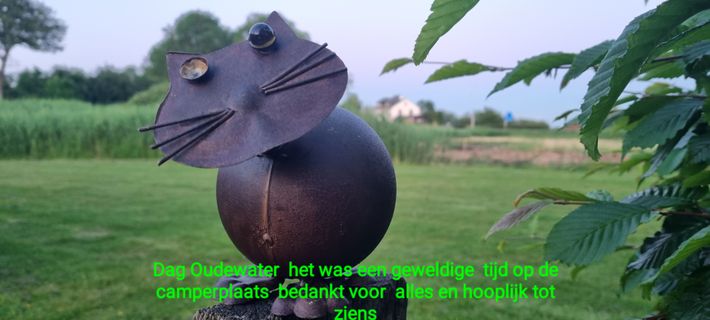 Camperplaats Statenland