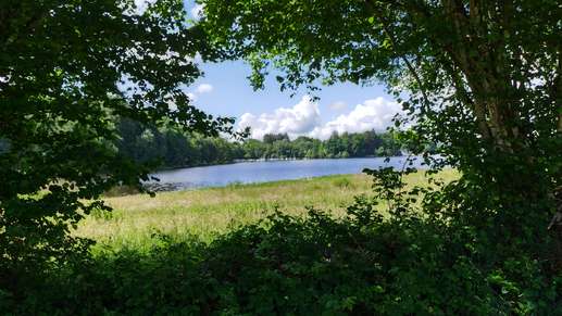 Added a photo to a location