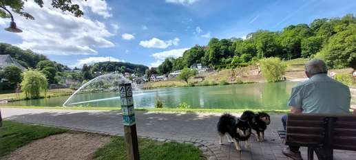 Added a photo to a location