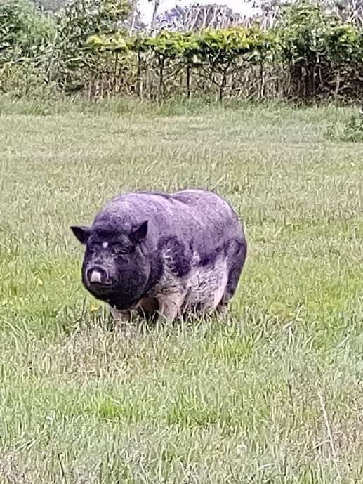 Einem Ort wurde ein Foto hinzugefügt