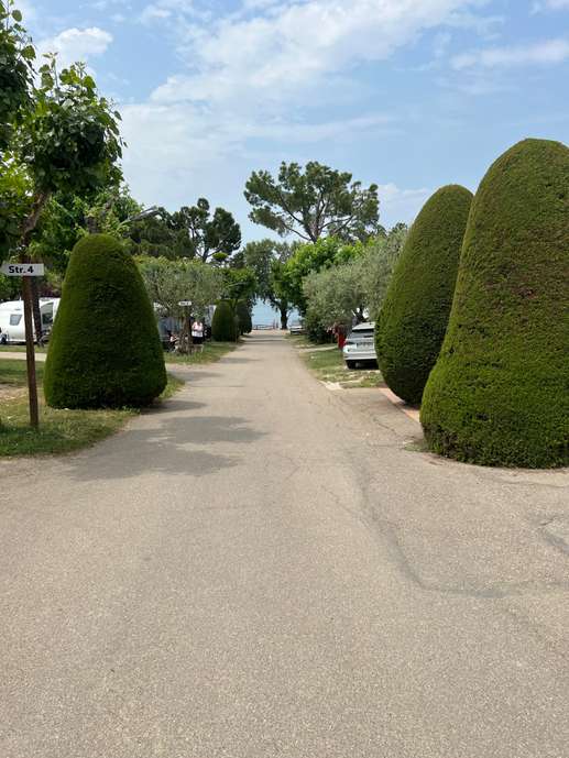 Added a photo to a location