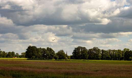 Een foto toegevoegd aan een locatie