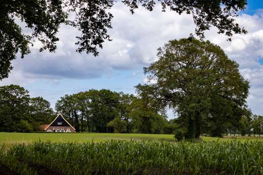 Een foto toegevoegd aan een locatie