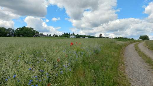 Added a photo to a location