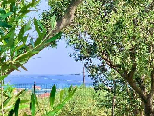 Added a photo to a location