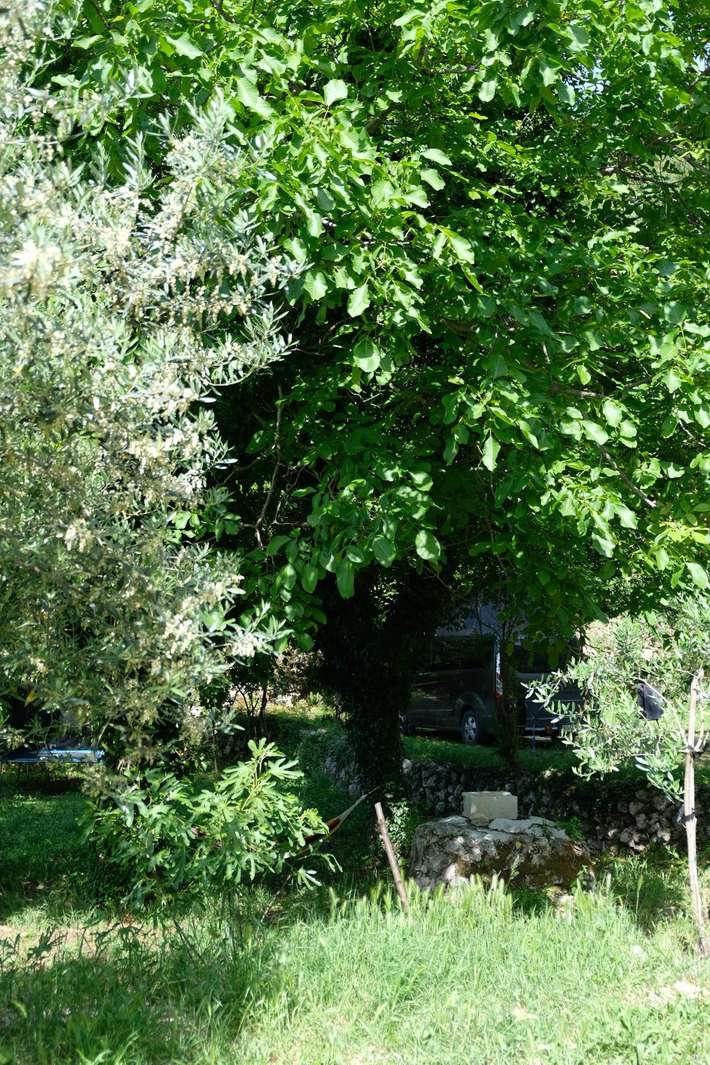 Autocamp Radoman