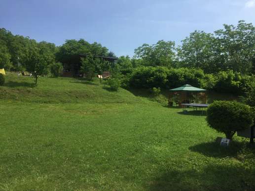 Added a photo to a location