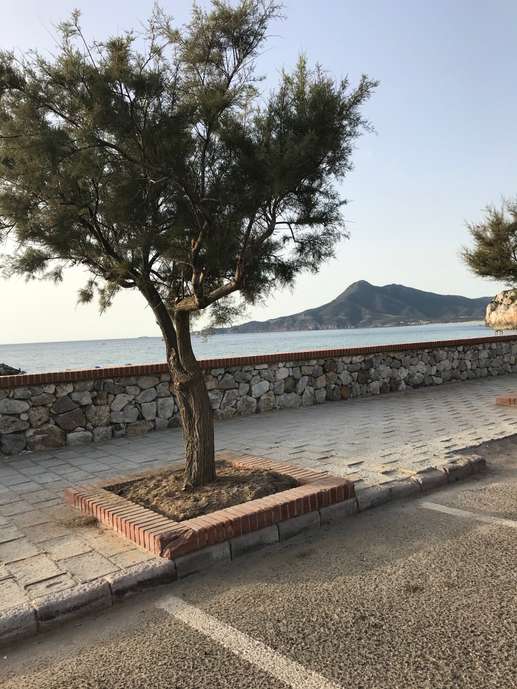 Added a photo to a location