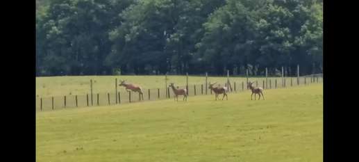Een foto toegevoegd aan een locatie