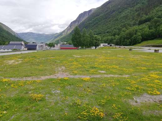 Added a photo to a location