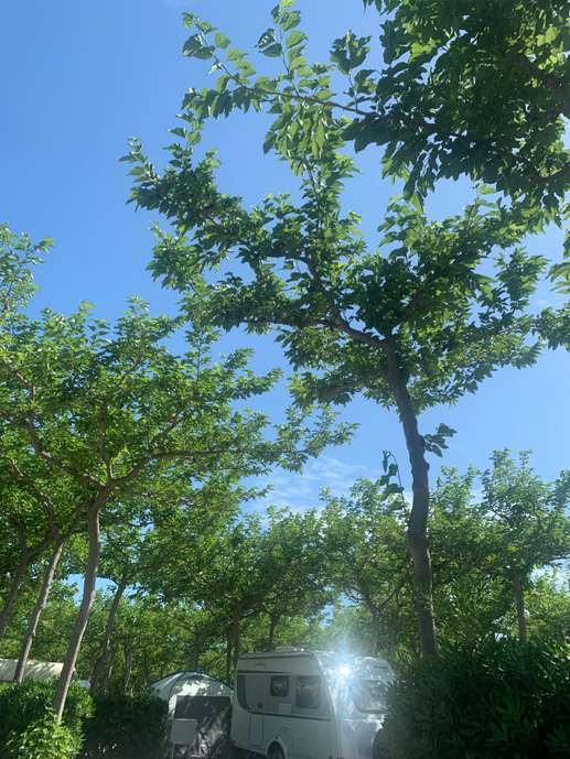 Added a photo to a location