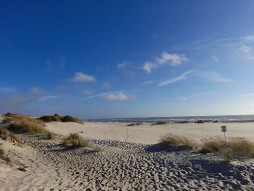 Een foto toegevoegd aan een locatie