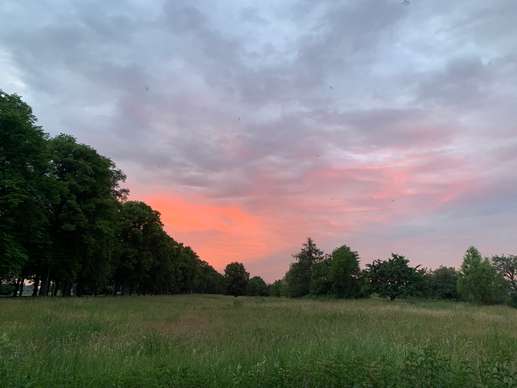 Added a photo to a location