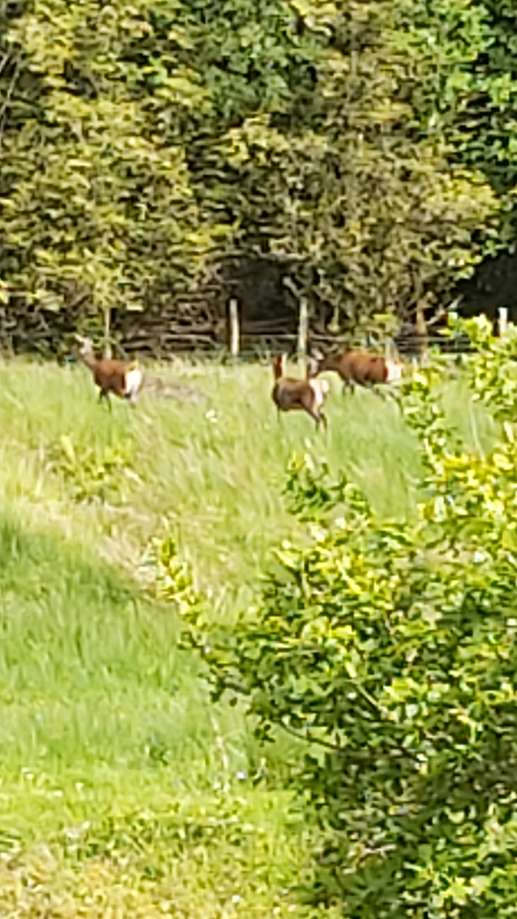 Added a photo to a location