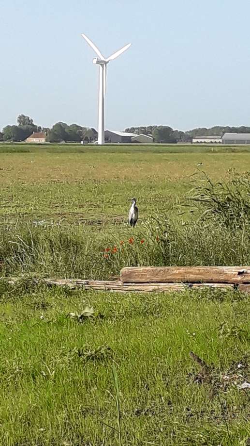 Ajout d'une photo à un emplacement