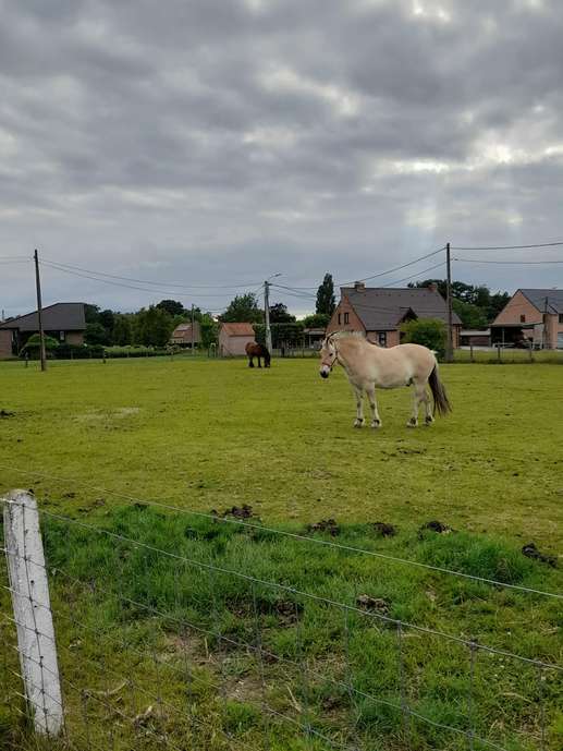 Einem Ort wurde ein Foto hinzugefügt