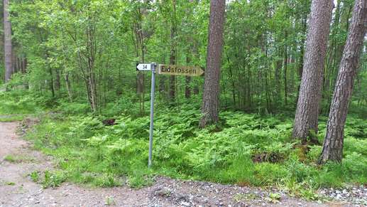 Added a photo to a location